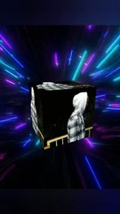 Neoliizer Art Videos