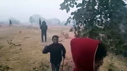 sidhi: bear trapped in barbed wire fence for 8 hours