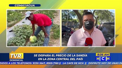 Se reporta aumento al precio de la Sandía en la zona central del país