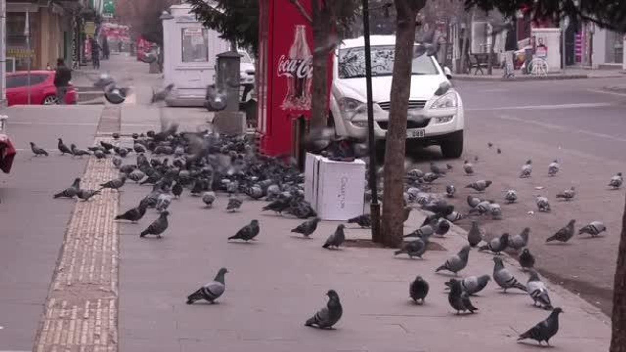 Soğuklar nedeniyle aç kalan güvercinleri esnaf besliyor