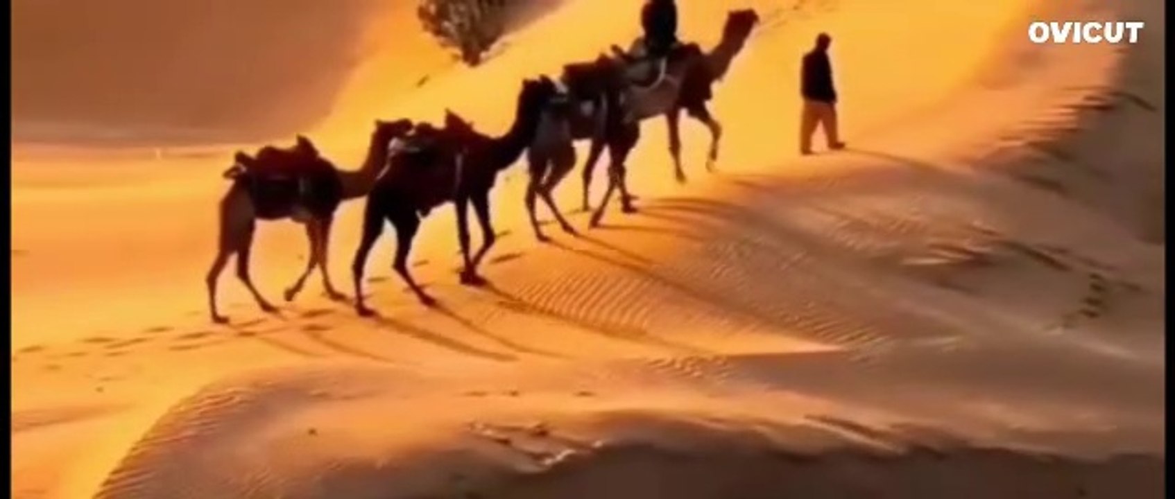 Rajasthani songs status