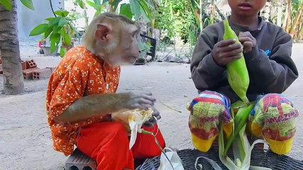 SokYaa Unbelievable He Can BBQ Corn Like This, How Is Possible