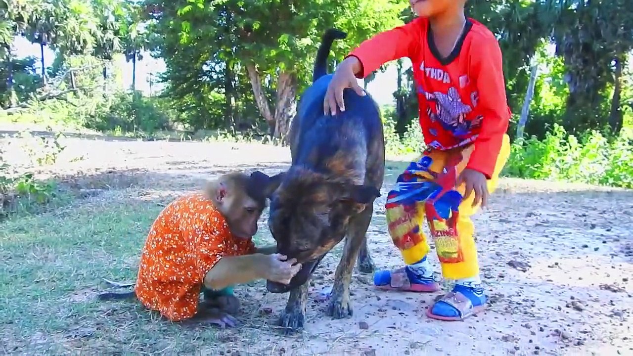 Video Incredible ! SokYaa Kick Friend Until Fall Down, It Fun