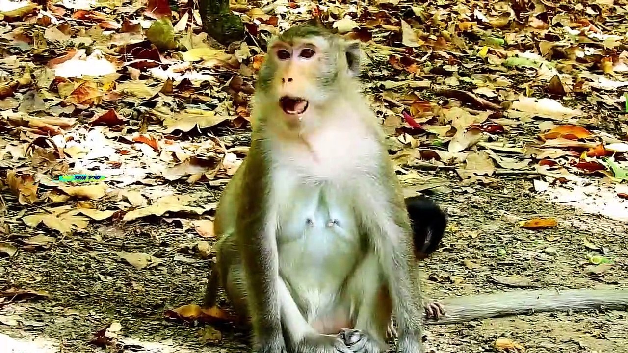 ARA WIPES TEAR WITH FEELING SAD, LONELY AND HUNGRY...WHY NO MILK