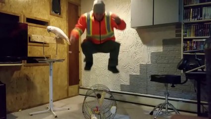 Man is Mad and parrot is angry Madness