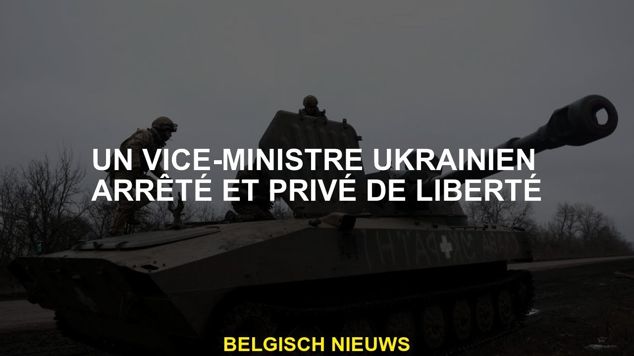 Un vice-mini-minister ukrainien arrêté et privé de liberté