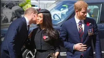 William "a reculé quand Meghan est allée le serrer dans ses bras … peut-être qu'il s'attendait à ce