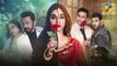 Meesni - Episode 07 ( Bilal Qureshi, Sharmeen Kashif ) 22nd January 2023 - HUM TV