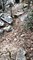 Le chien d’un promeneur abattu par un chasseur dans les Gorges du Caramy