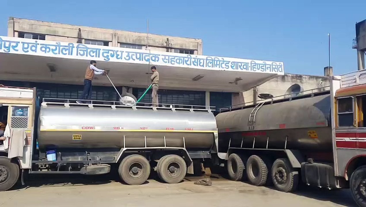खपत से पांच गुना दूध की आवक, डेयरी बनवा रही घी व मिल्क पाउडर