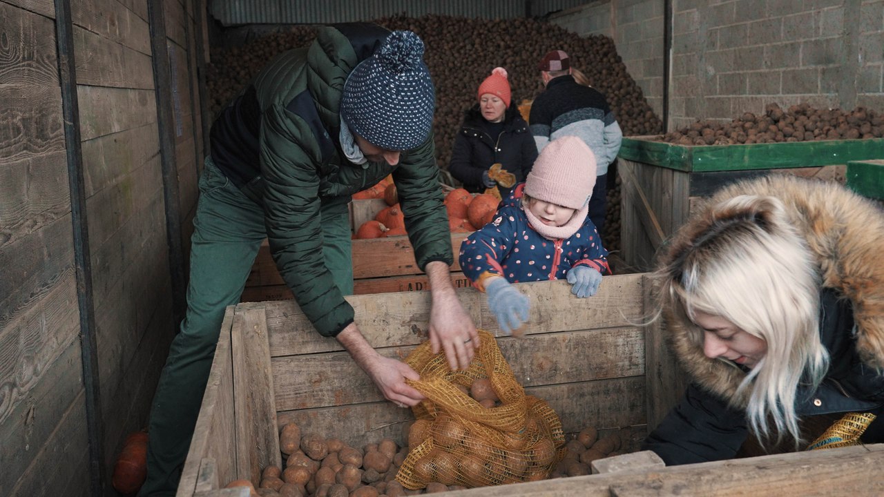 Pour éviter le gaspillage, un agriculteur vend ses légumes bio 1 euro le kilo