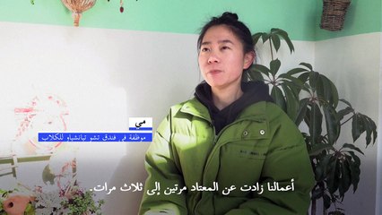 مجالسة الحيوانات الأليفة تنتعش مجدداً في الصين