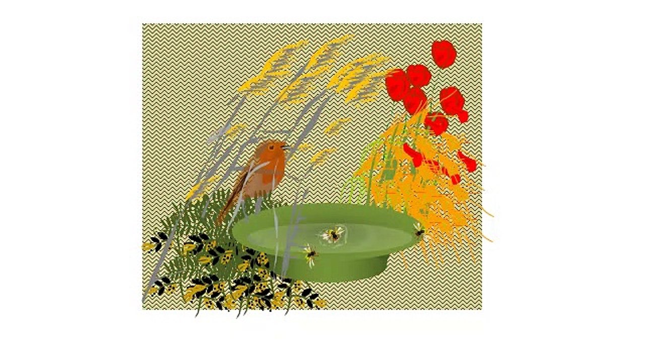 Poésie et oiseaux 1