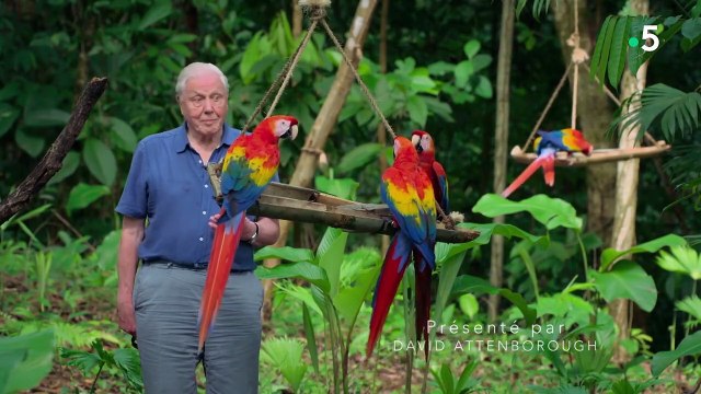 Les couleurs de la nature - Couleurs et camouflage