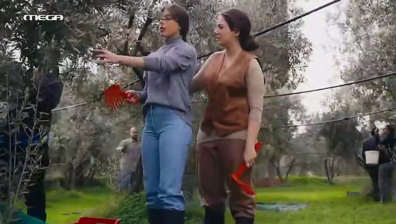 Η Γη της Ελιάς- Επεισόδιο 83 part 1/1