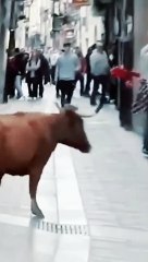 An unexpected guest, oh my God