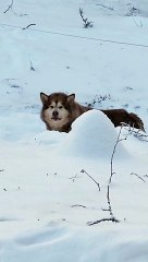 Peej Doesn't Want Mom To Leave For Work