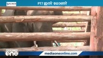 PT7 ഇനി 'ധോണി'; ആനയ്ക്ക് ഉടനെ പരിശീലനം ആരംഭിക്കില്ല | palakkad