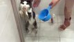 Cat Tries In Vain to Claw His Way Out of Bath Time