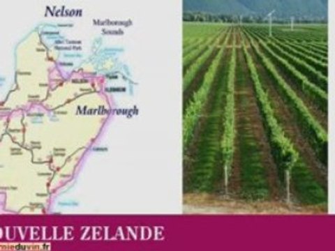 Les vins de Nouvelle Zélande : cours académie du vin