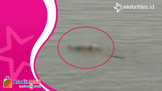Viral! Jasad Bocah Tenggelam Diantar Pulang Buaya ke Pinggir Sungai