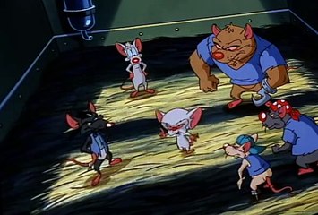Pinky and the Brain S01 E17