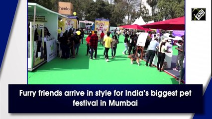 Furry friends arrive in style for India’s biggest pet festival in Mumbai