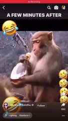 Facebook 934823291024268(540p)