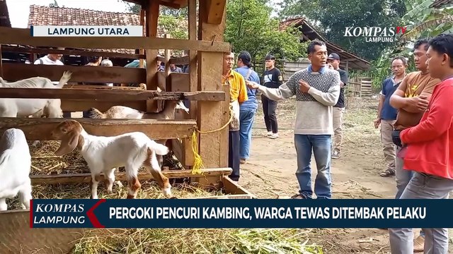 Pergoki Pencuri Kambing, Warga Tewas Ditembak Pelaku