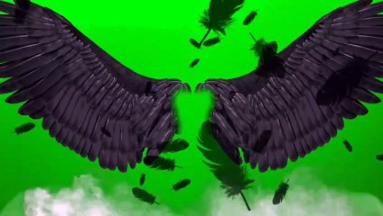 Dynamic Wings & Dragon Fire Green Screen Video 🎬