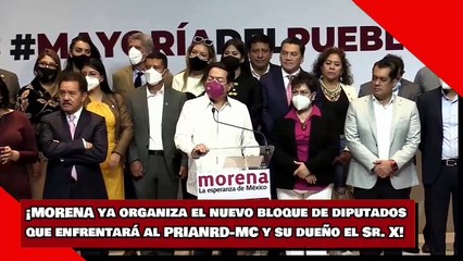 ¡MORENA ya organiza el nuevo bloque de diputados que enfrentará al PRIANRD-MC y su dueño el Sr. X.!