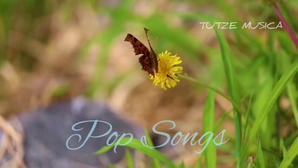 SOLO. Pop Songs .TUTZE MUSICA.