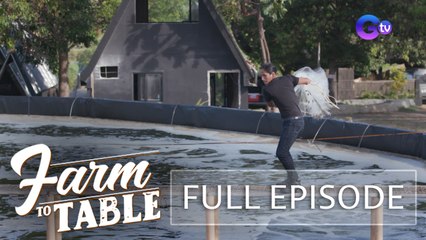 Turning fresh shrimp into Mexican dishes! (Full episode) | Farm To Table