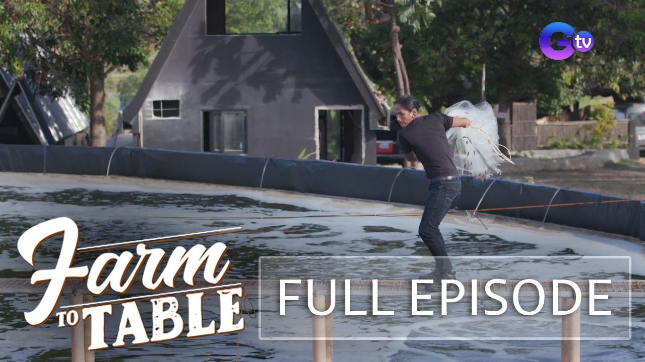 Turning fresh shrimp into Mexican dishes! (Full episode) | Farm To Table