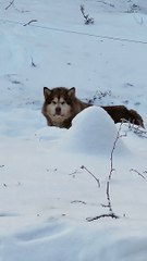 Peej Doesn't Want Mom To Leave For Work