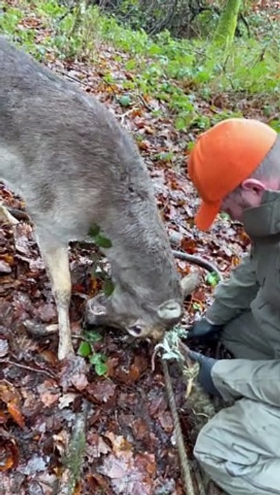 Father And Son Help Rescue Deer