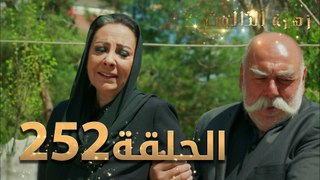 مسلسل زهرة الثالوث - الحلقة 252 ｜ مدبلج ｜ الموسم الثاني