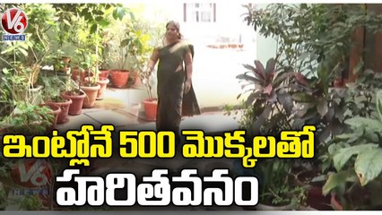Nature Lover Anitha Reddy Turns Her House Into Garden with 500 Plants | Warangal | V6 News