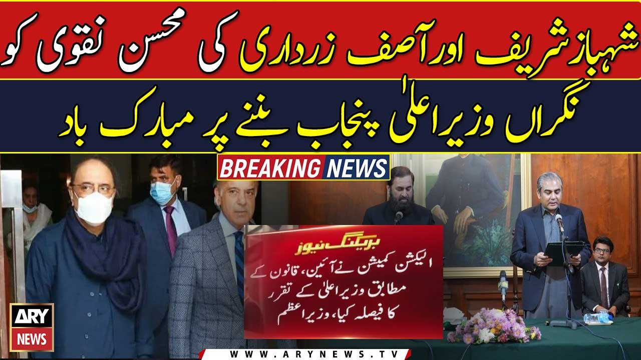 PM Shehbaz Sharif, Asif Zardari congratulate Mohsin Naqvi