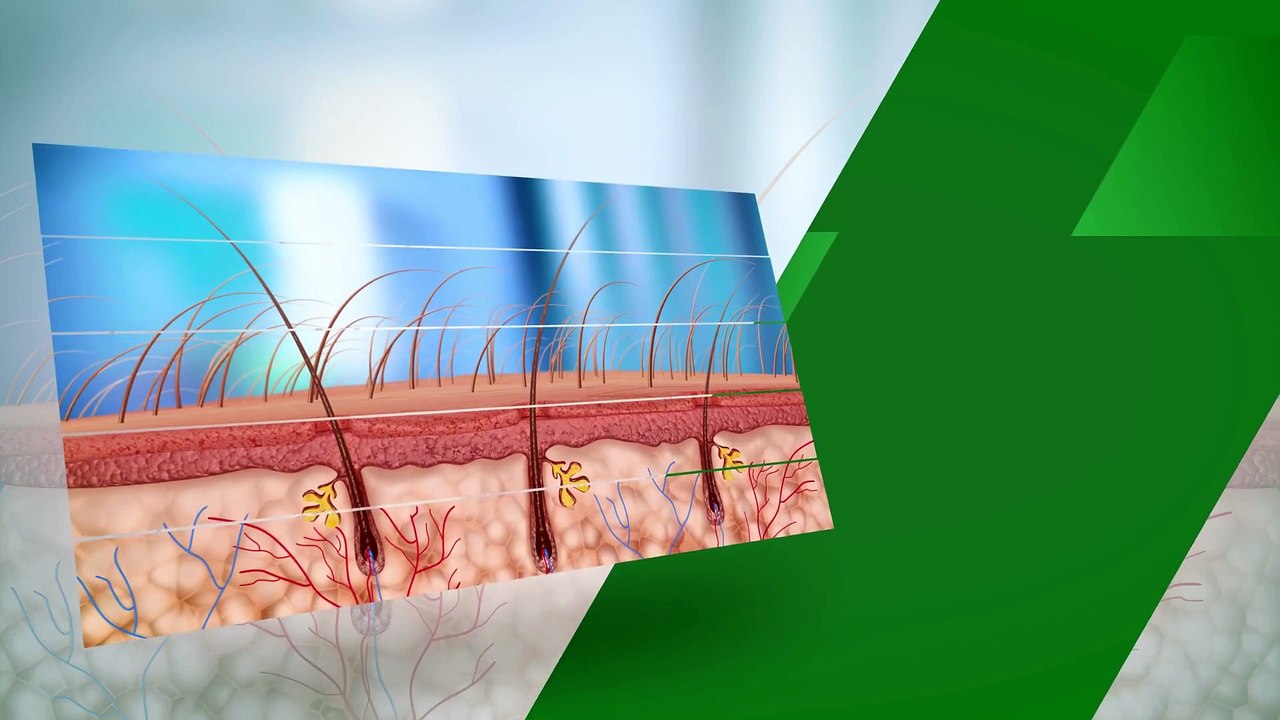 Hair Regrowth Through Herbal Follicular Activation Australian Hair