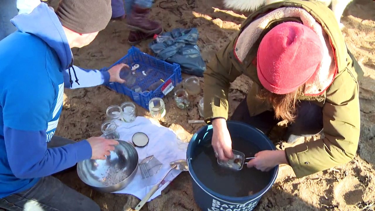 France: action de ramassage contre la pollution aux billes de plastique