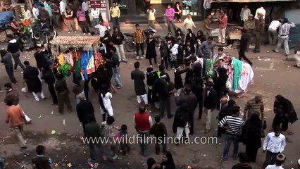 The decorated holy horse at the Muharram Procession