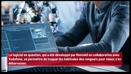 Des dératisateurs utilisent un logiciel de reconnaissance faciale pour éliminer les rats !
