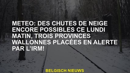 Météo: des chutes de neige toujours possibles ce lundi matin, trois provinces de wallon placées en a