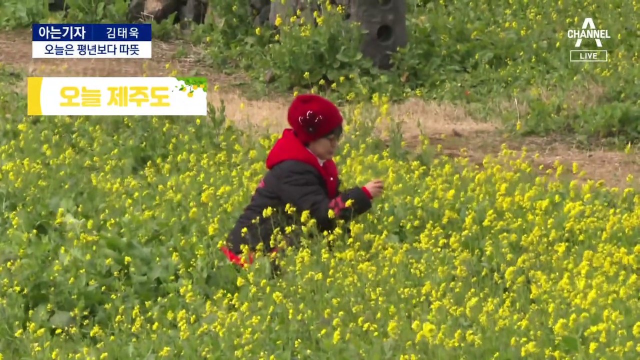 [아는기자]17시간 만에 21도 수직하강…한파 특보 발효