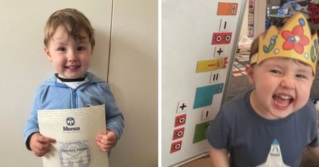 Avec un QI de 139, ce petit garçon âgé de quatre ans devenu le plus jeune membre britannique de Mensa