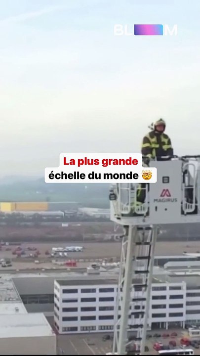 La plus grande échelle au monde !