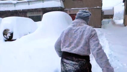 Emilia-Romagna, la nevicata è troppo forte, così le auto scompaiono: trovarle è un'impresa