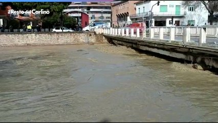 Télécharger la video: Maltempo nelle Marche, il video della piena del fiume Misa a Senigallia