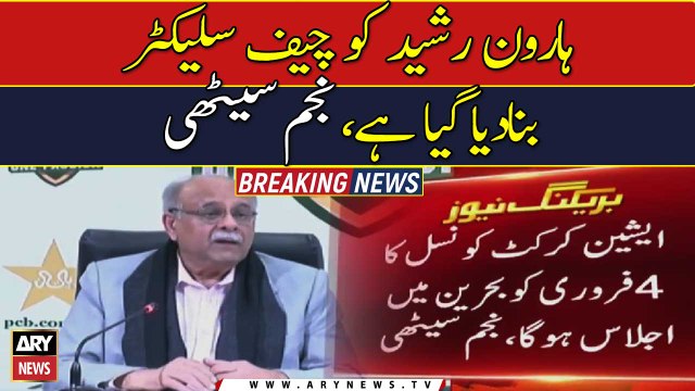 Najam Sethi appoints Haroon Rasheed as new chief selector